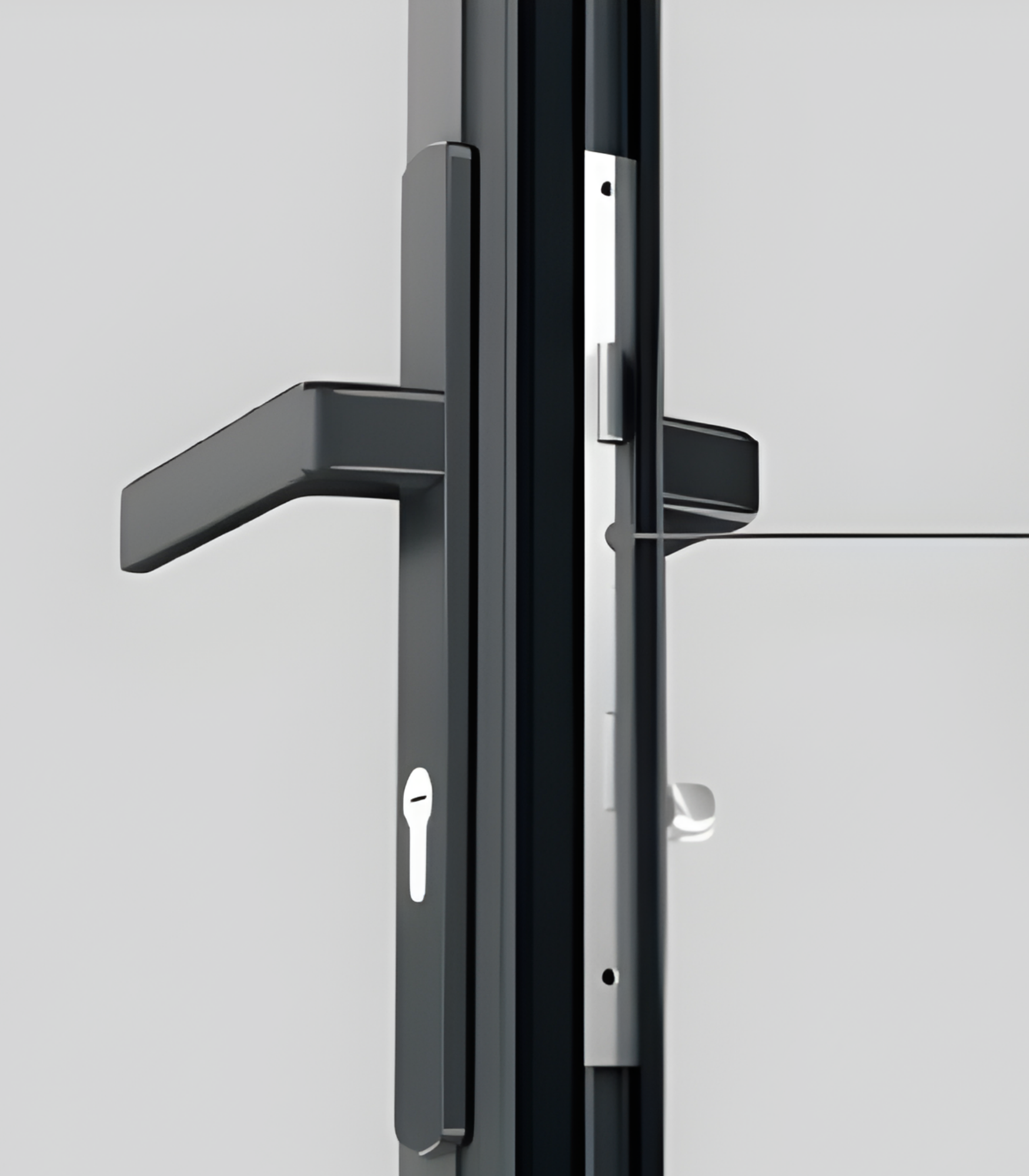 VLX 100 Swing / Entry Door in Plantation, FL | TruePane Windows & Doors - detail 5